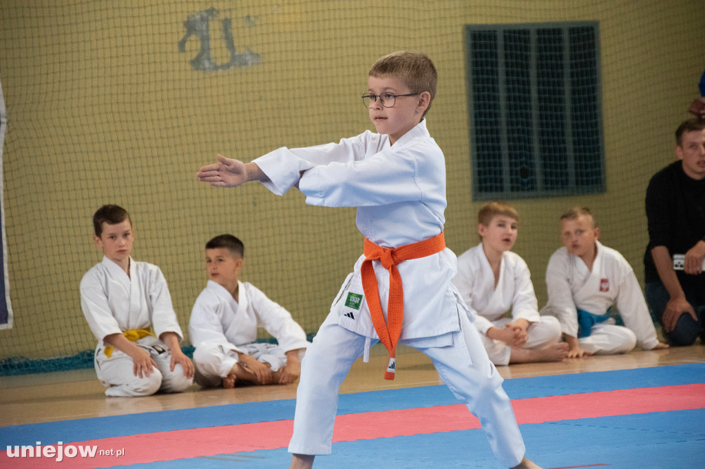 XII Turniej Małego Karateki w Uniejowie