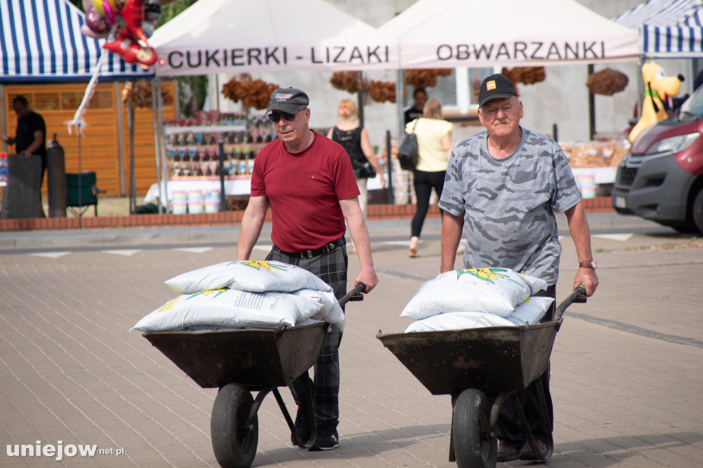 W Spycimierzu powstają słynne kwiatowe dywany