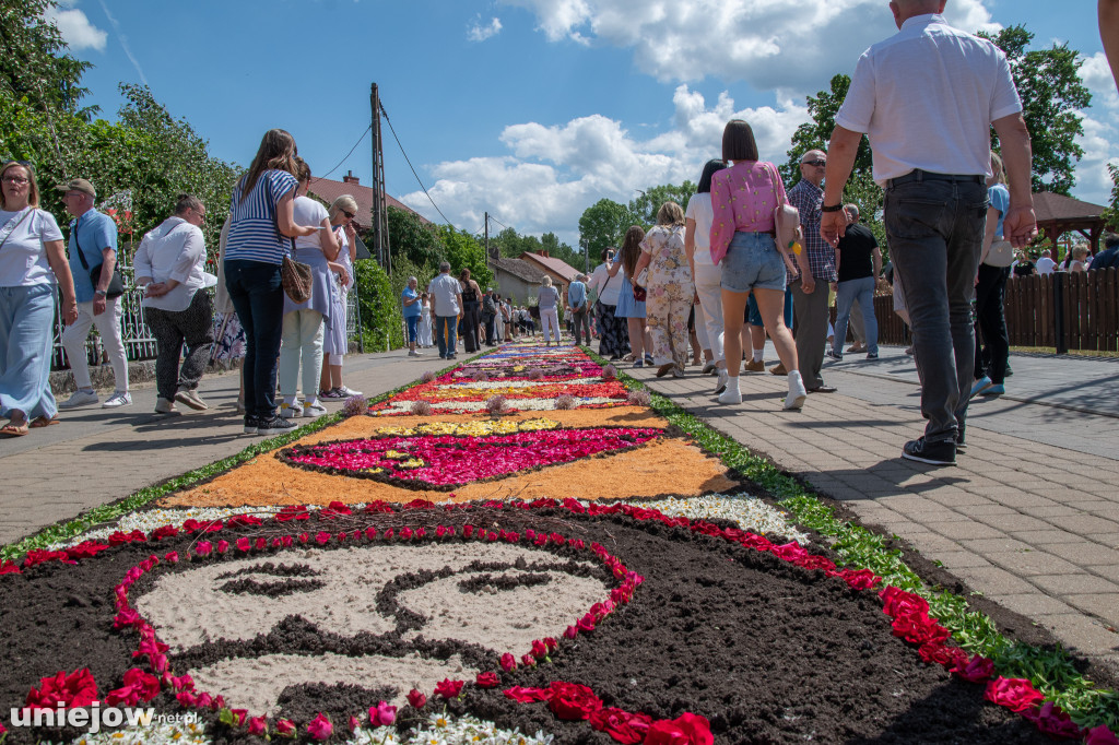 Kwietne dywany i procesja Bożego Ciała Spycimierz