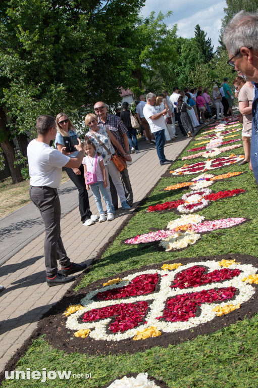 Kwietne dywany i procesja Bożego Ciała Spycimierz