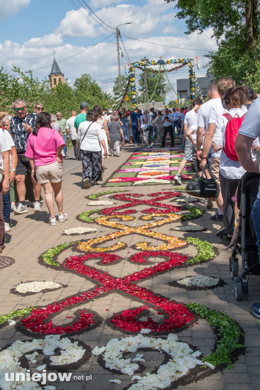 Kwietne dywany i procesja Bożego Ciała Spycimierz