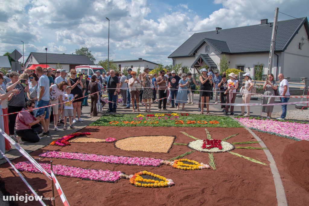 Kwietne dywany i procesja Bożego Ciała Spycimierz