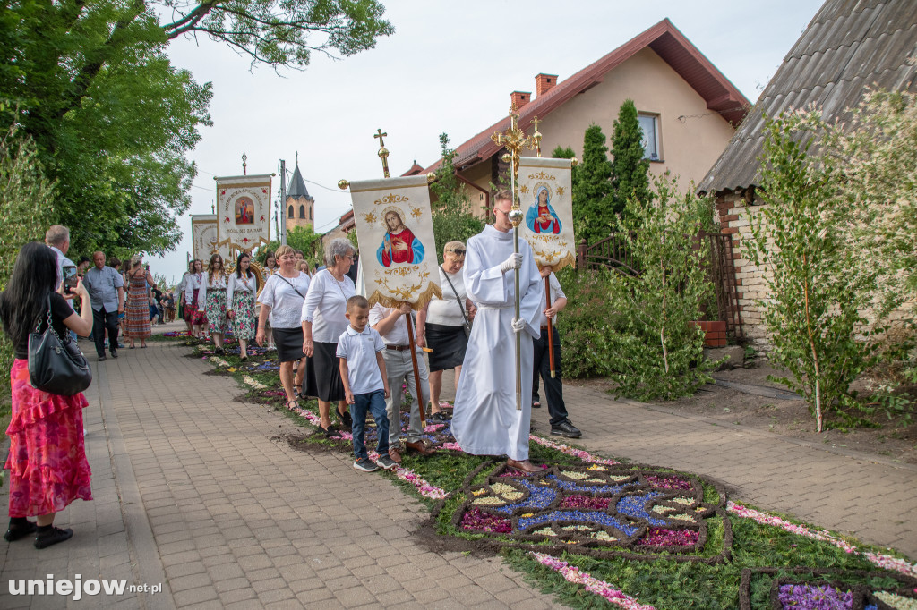 Kwietne dywany i procesja Bożego Ciała Spycimierz