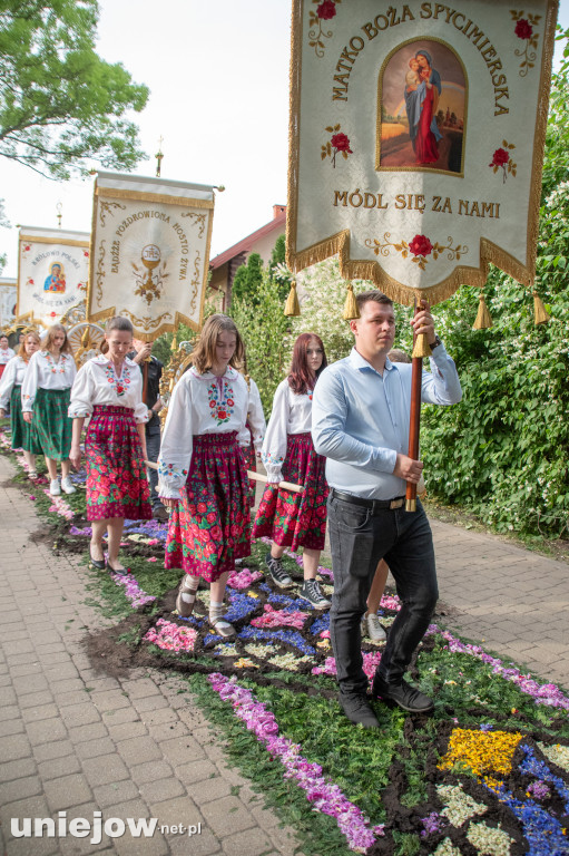 Kwietne dywany i procesja Bożego Ciała Spycimierz