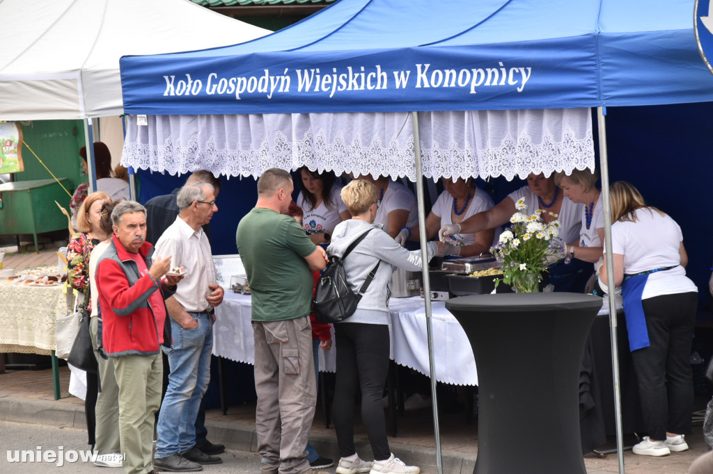 Dzień św. Bogumiła w Uniejowie