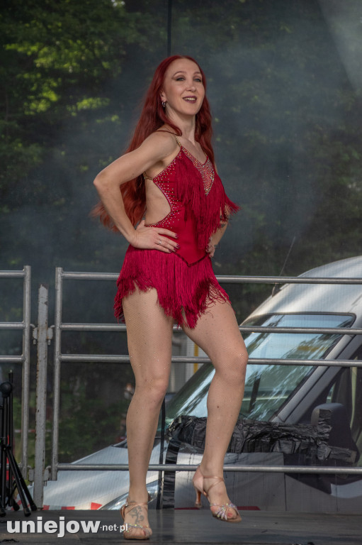 Koncert Disco Polo Party pod Gwiazdami
