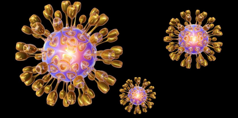 Dane w powiecie poddębickim dotyczące koronawirusa. Porównujemy raporty z dziesięc