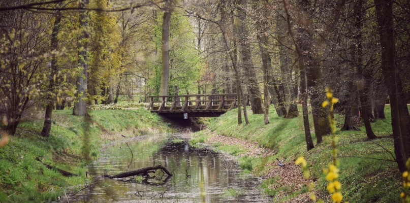 Zamkowy park w Uniejowie po metamorfozie. Fot. Michał Kubacki