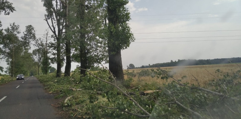 fot, KPP Poddębice