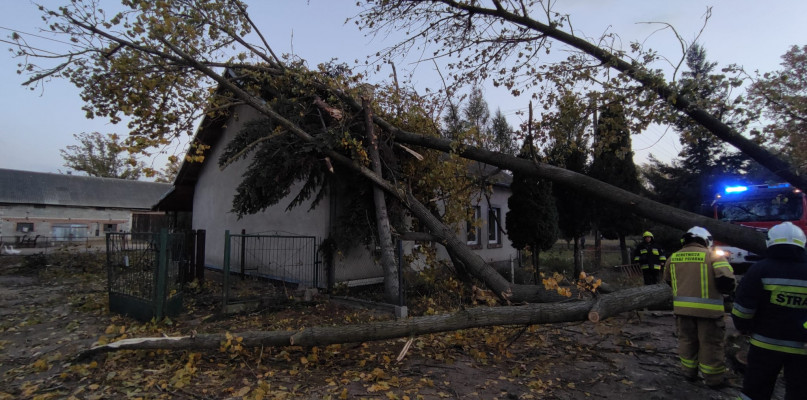 fot. KP PSP w Poddębicach.
