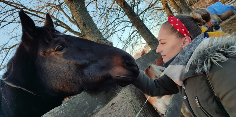 Walentynki w Ktosiowie, czyli azyl dla koni niedaleko Uniejowa