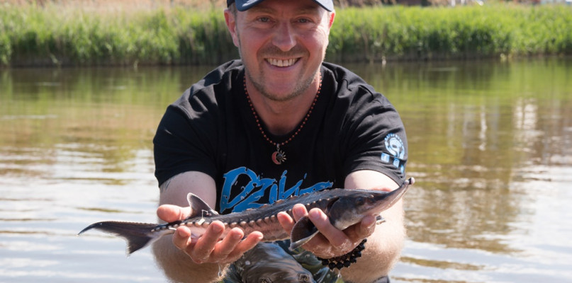 Na zdjęciu Sebastian Staśkiewicz - prezes fundacji Ratuj Ryby, podczas wpuszczania jesiotra ostronosego do rzeki Warty w Uniejowie.