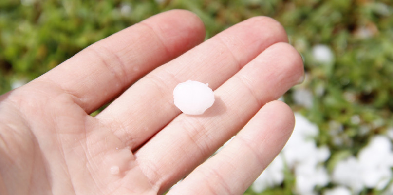 Gwałtowne burze i wichury spowodowały liczne zniszczenia na polach uprawnych i w sadach. Poszkodowani rolnicy z gminy Uniejów mogą składać w Urzędzie Miasta wnioski o oszacowanie szkód.