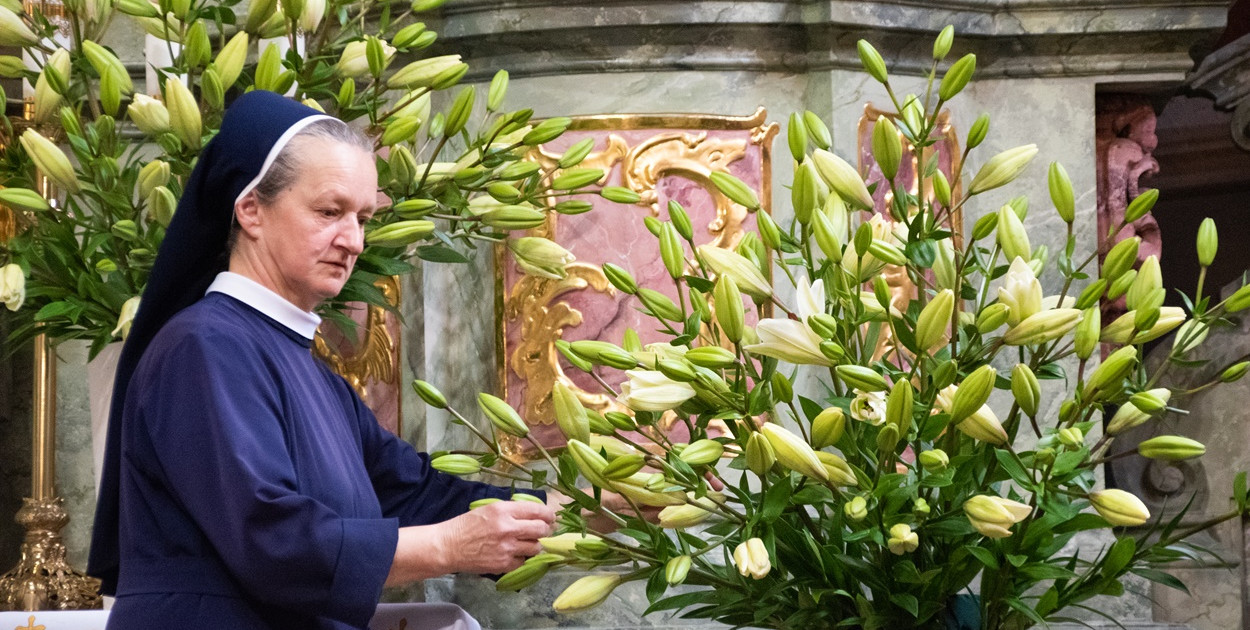 Tysiąc pięćset lilii udekorowało uniejowski kościół [ZDJĘCIA]