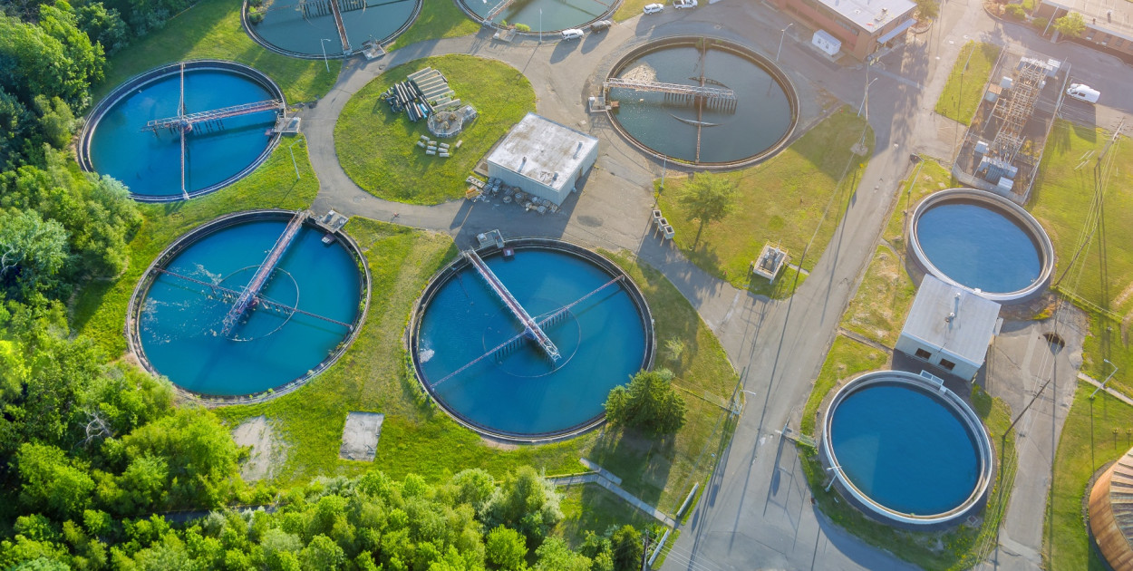 zdjęcie ilustracyjne.