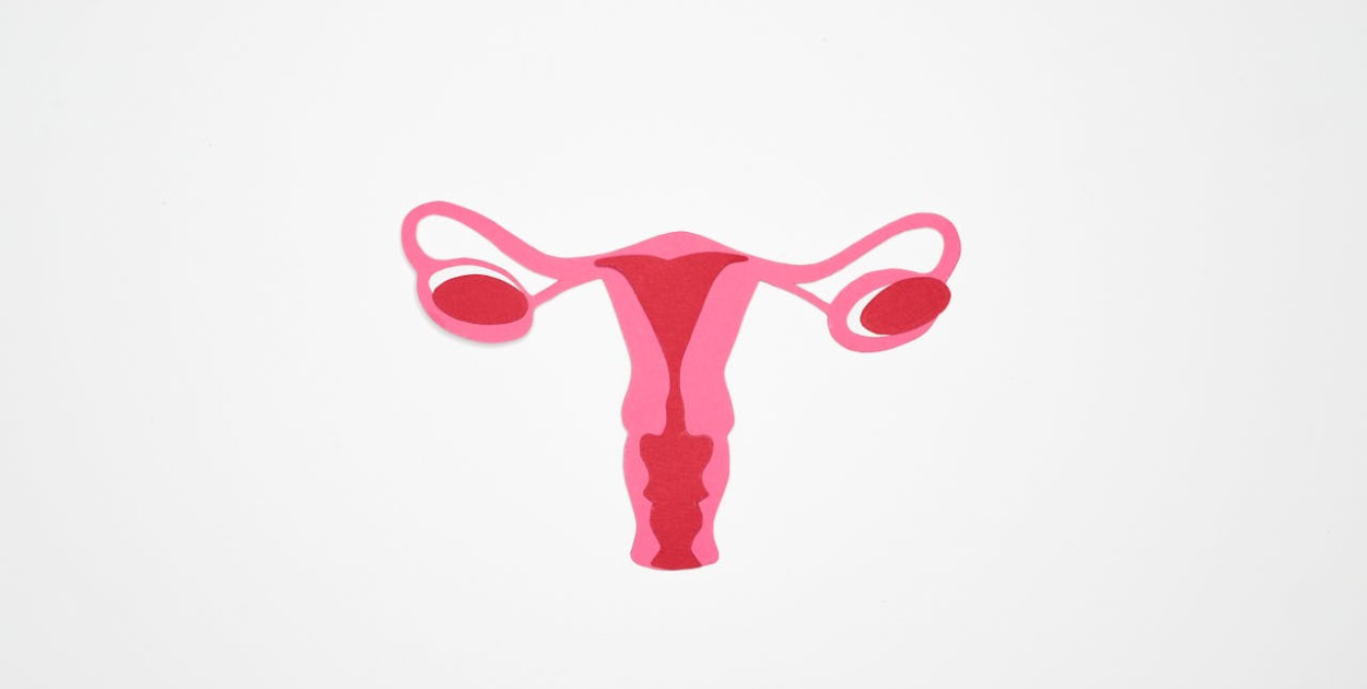 Cykl bezowulacyjny – czym jest i jak go rozpoznać?