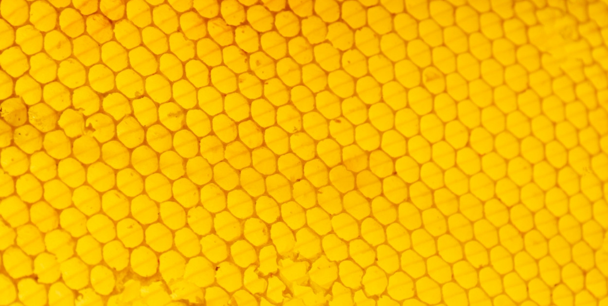 Dlaczego świece z wosku pszczelego są lepsze dla alergików i astmatyków?