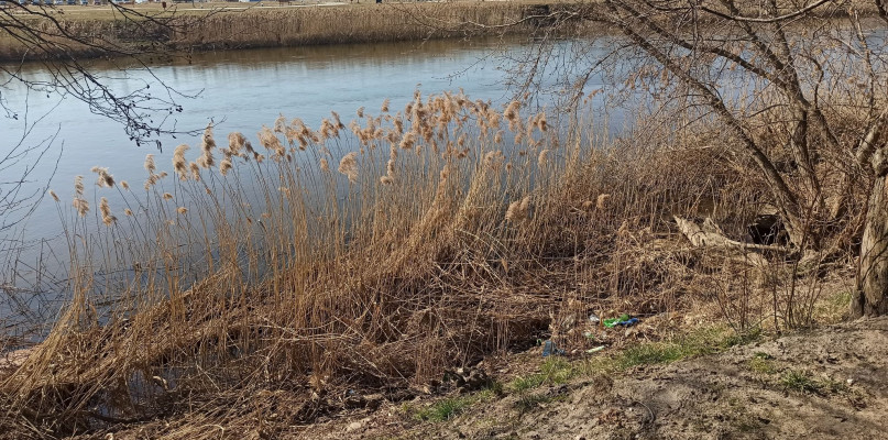 W sobotę 26 marca 2022 roku Koło Wędkarskie nr 16 w Uniejowie przeprowadza akcję wiosennego sprzątania rzeki Warty.