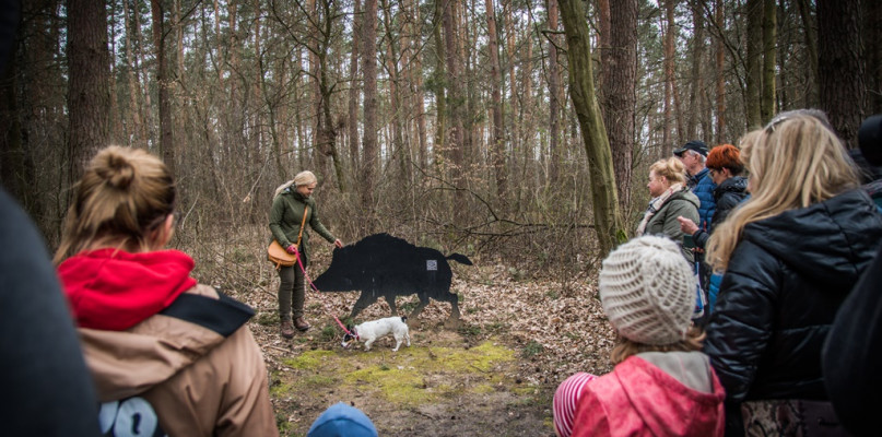 Na spacer ścieżką dydaktyczną Zieleń w Uniejowie zaprosiło Nadleśnictwo Turek w sobotę 26 marca 2022 roku. Wszystkich chętnych, którzy wzięli udział w akcji, z lokalną roślinnością i zwierzętami zapoznała Beata Kątna z turkowskiego nadleśnictwa. Organizowane wydarzenie jest kontynuacją obchodów Międzynarodowego Dnia Lasów.