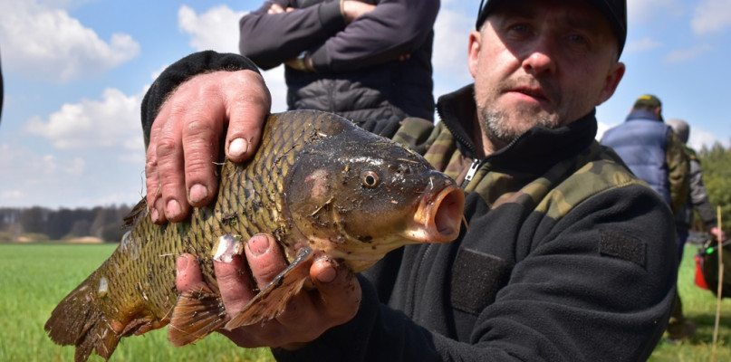 Radomił Sztybrych z największą rybą zawodów. Mierzący 48 cm karp oczywiście wrócił po zważeniu do wody.
