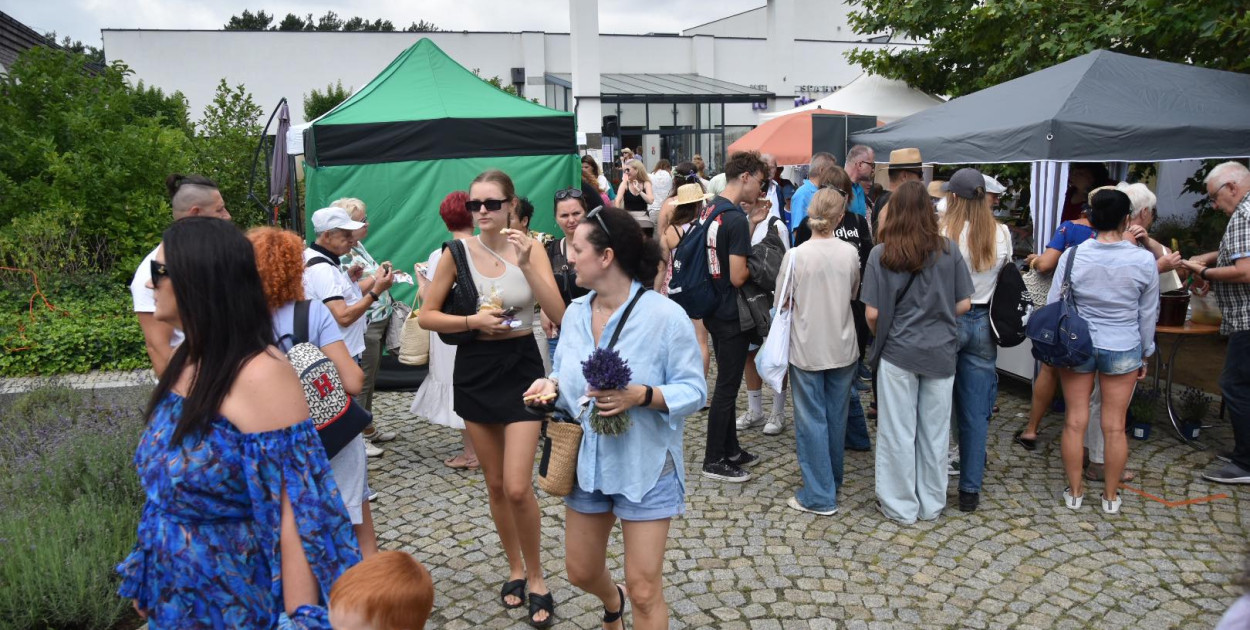 W sobotę w Uniejowie odbywa się XI Festiwal Lawendy. Koncerty, gra terenowa  i warsztaty dla dorosłych i dzieci. Mamy program imprezy - uniejow.net.pl