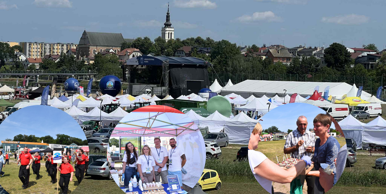 fot.Michał Kubacki