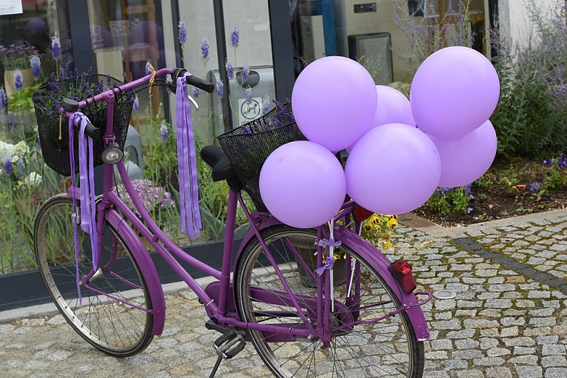 IX Festiwal Lawendy 2022