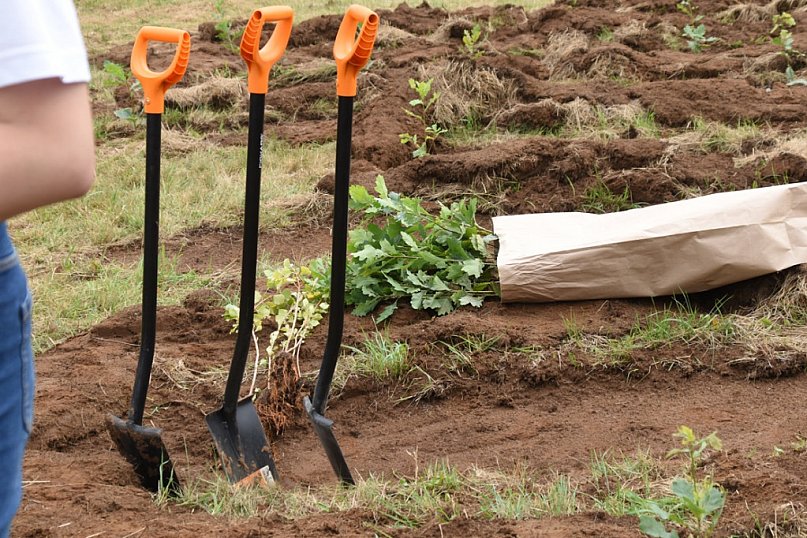 Sadzono drzewa,czyli akcja Czyste, Zielone Miasta w Uniejowie