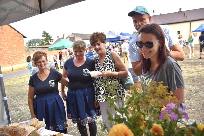 Tak wyglądał piknik rodzinny w Ostrowsku
