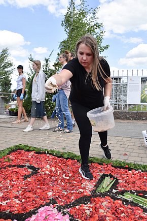 Tak powstają kwietne dywany w Spycimierzu-2293