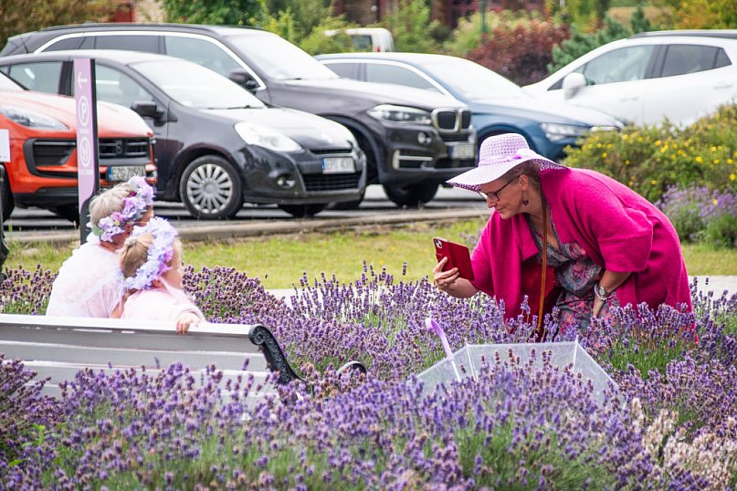 XII edycja Festiwalu Lawendy w Uniejowie