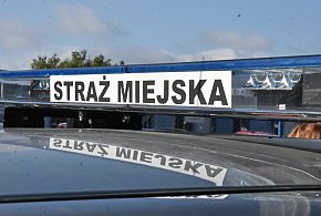 Kombinujesz z piecem? Zapuka strażnik i możesz zapłacić 5 tys. zł kary-14625