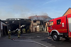 Pożar w Brzezinach. W akcji 11 zastępów straży. Ewakuowano około 50 sztuk bydła-15326