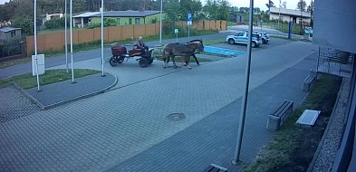 W Poddębicach pijany woźnica przyjechał na policyjny parking [WIDEO]-15699