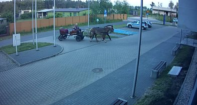 W Poddębicach pijany woźnica przyjechał na policyjny parking [WIDEO]-15699