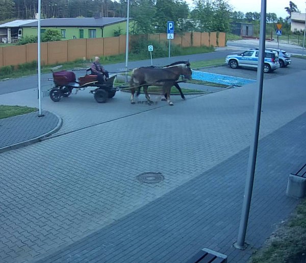 W Poddębicach pijany woźnica przyjechał na policyjny parking [WIDEO]-15699