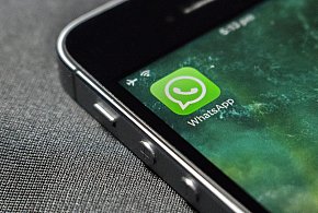 WhatsApp się zmienia. Czy aplikacja będzie płatna?-15975