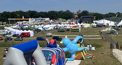 Festiwal Mleka już w niedzielę w Uniejowie. Na scenie koncerty trzech wykonawców-15839