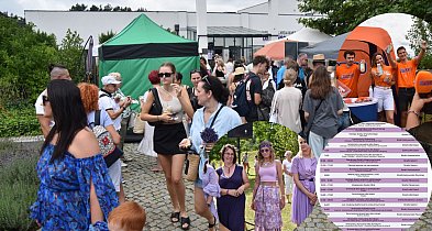 XII Festiwal Lawendy w Uniejowie już 12 lipca. Znamy szczegółowy program-16054