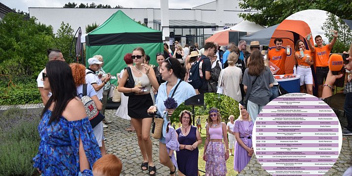 XII Festiwal Lawendy w Uniejowie już w sobotę. Zobacz szczegółowy program