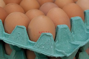 Salmonella na jajach znanej marki. Nie jedz, jeśli masz je w lodówce!-16104