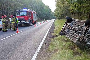 Kolizja w Zakrzewie. Sarna na drodze - dwa auta rozbite-16954