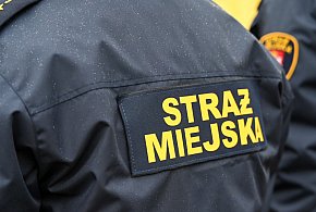 Zapuka strażnik, zapłacisz karę. Ruszyły kontrole w całej Polsce-17123