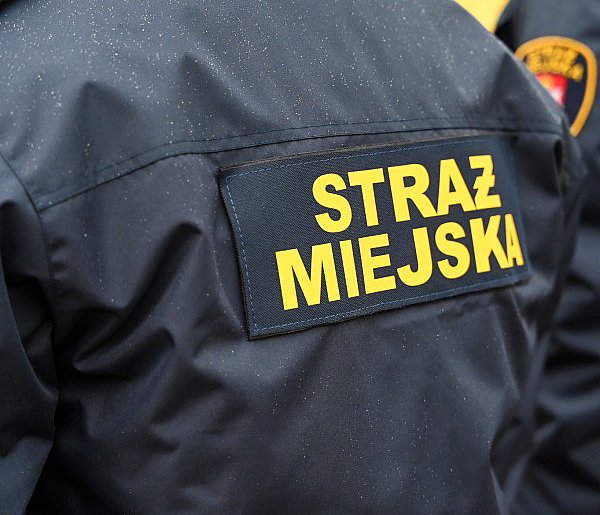 Zapuka strażnik, zapłacisz karę. Ruszyły kontrole w całej Polsce-17123