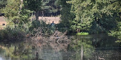 Turniej wędkarski z okazji 107. rocznicy odzyskania Niepodległości. Ruszyły zapisy-17137