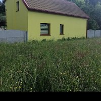 zdjecie ogloszenia