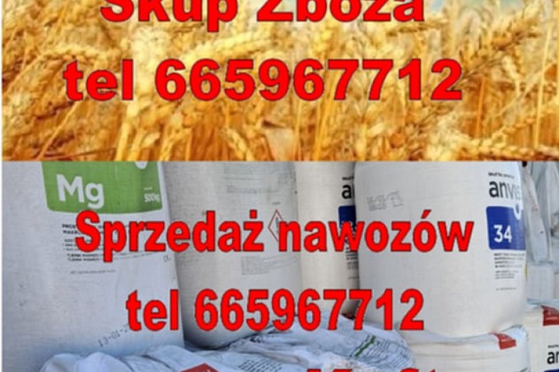 zdjecie ogloszenia