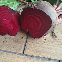 zdjecie ogloszenia