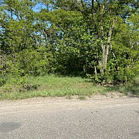 zdjecie ogloszenia