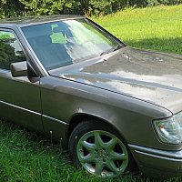 zdjecie ogloszenia